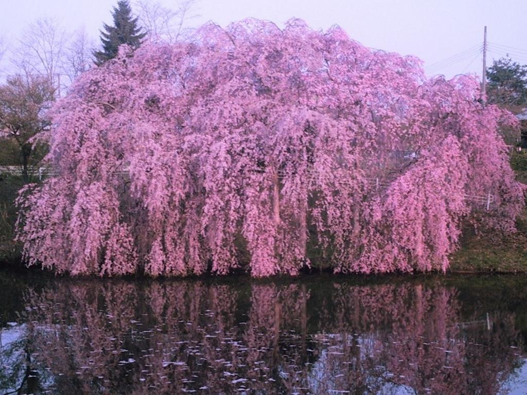 Yamayuri No Yado Hanamaki Bagian luar foto